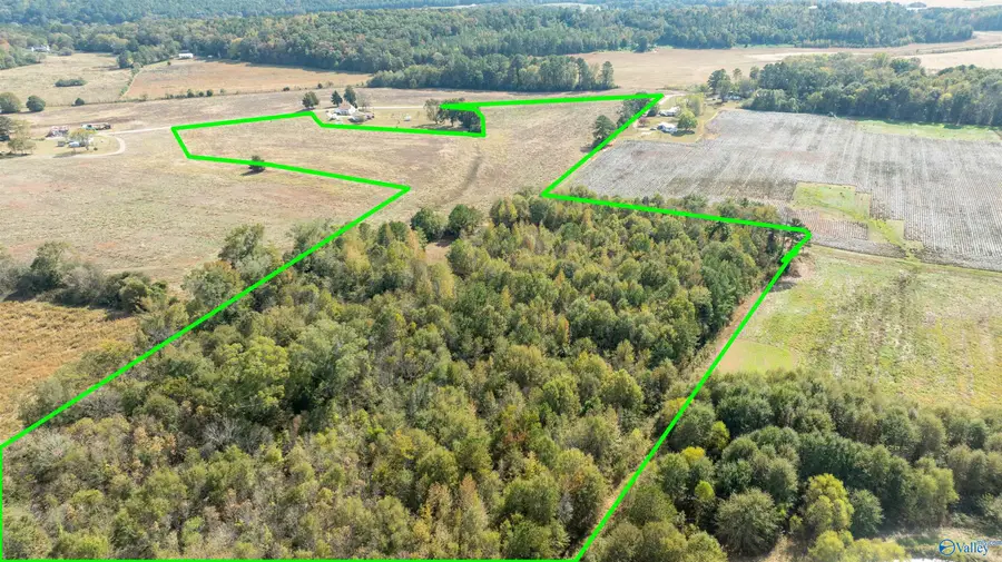 475 County Road 29, Piedmont, AL 36272 - Image #3