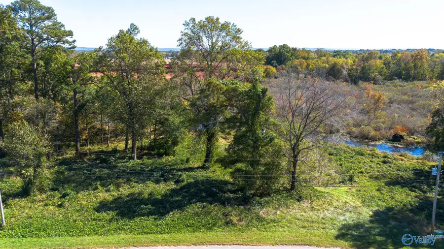 140 Easy Street, Hazel Green, AL 35750 - Image #2