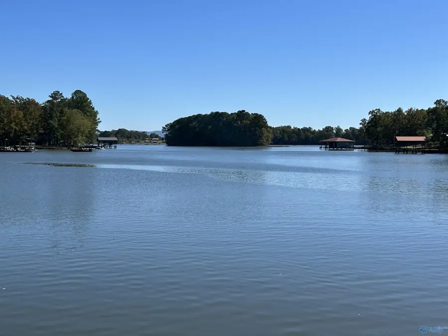 230 County Road 617, Cedar Bluff, AL 35959 - Image #2