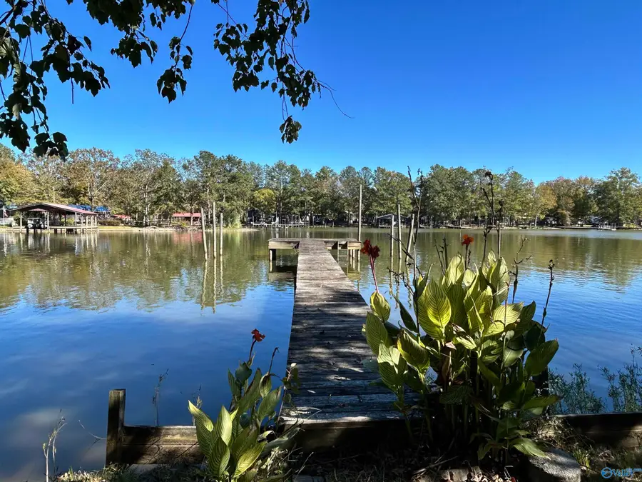 230 County Road 617, Cedar Bluff, AL 35959 - Image #3