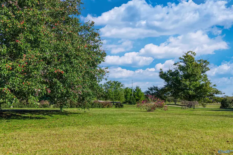 167 Marshall Road, Rainsville, AL 35986 - Image #3