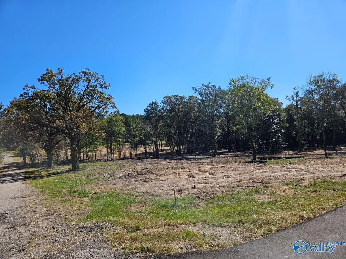 Lot 1 Pratt Avenue, Centre, AL 35960 - Image #1