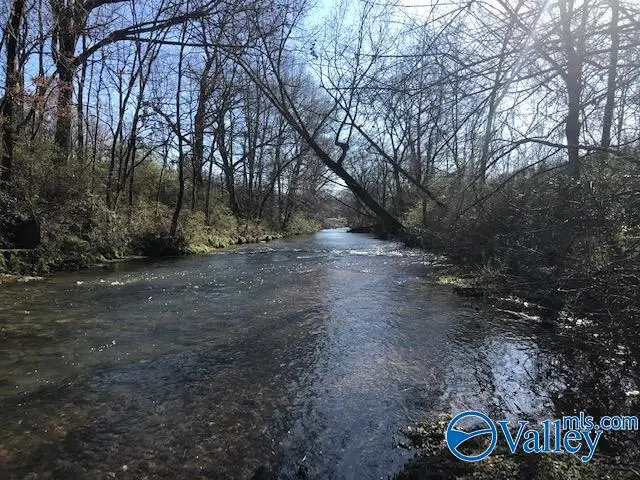 6777 Hwy 207, Anderson, AL 35610 - Image #3