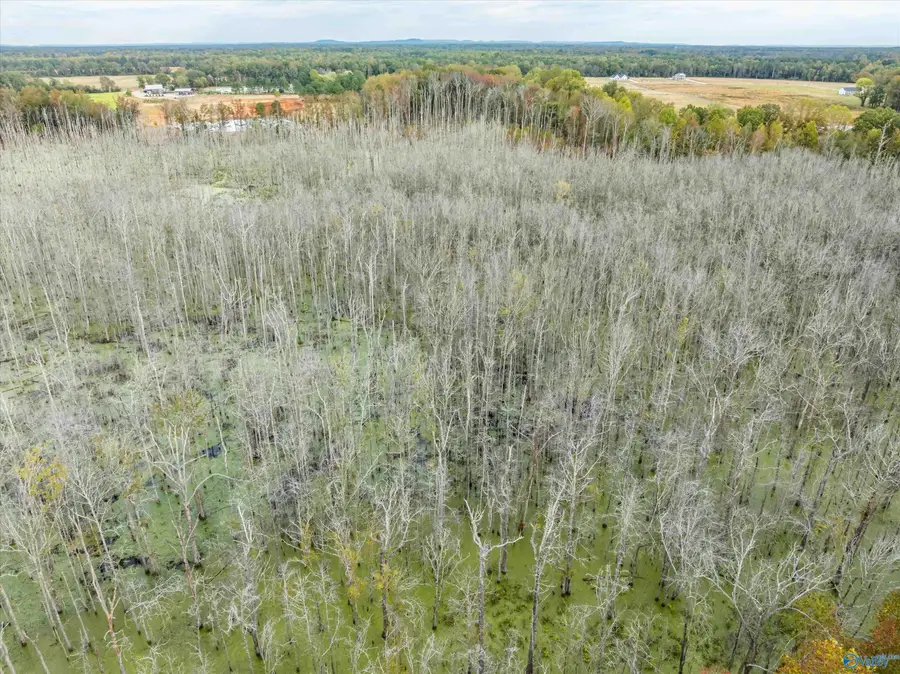 47 Hays Mill Road, Elkmont, AL 35620 - Image #3