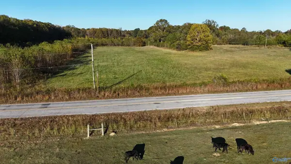 002 County Road 6, Piedmont, AL 36272