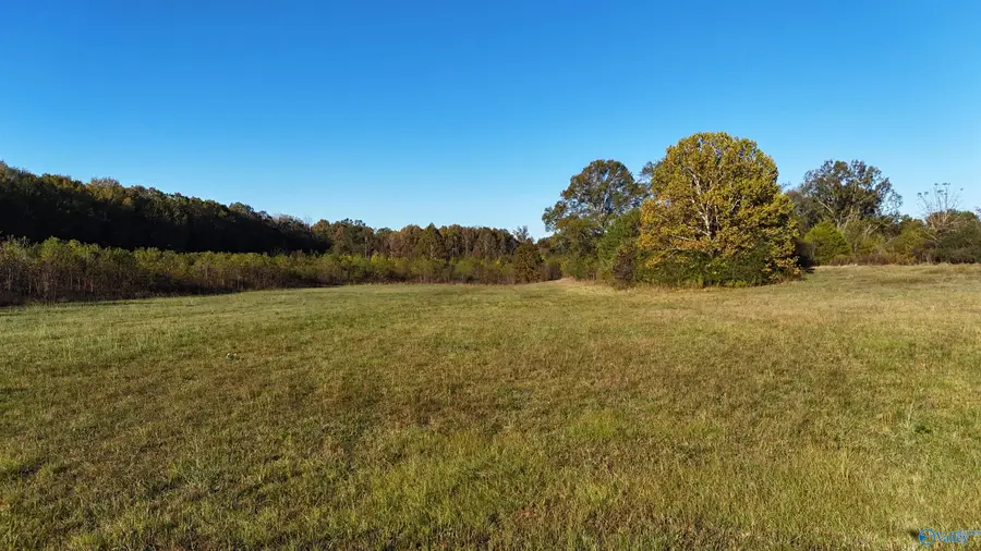 002 County Road 6, Piedmont, AL 36272 - Image #2