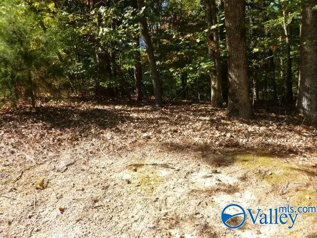 Lot 9 Cherrywood Drive, Guntersville, AL 35976 - Image #3