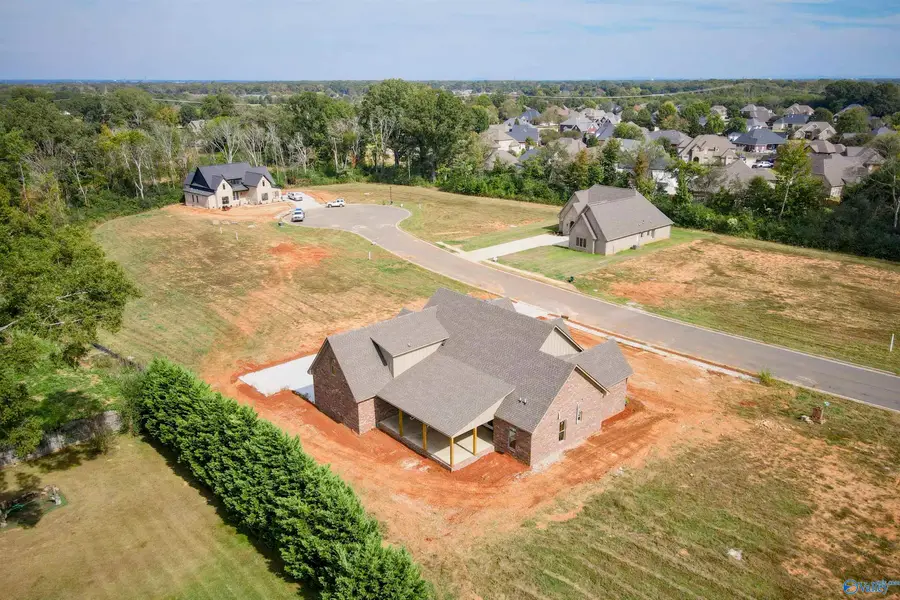 Lot 3 Newcastle Lane, Decatur, AL 35603 - Image #2