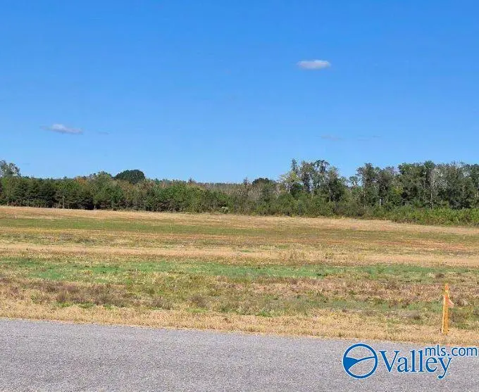 Tract 35 County Road 32, Centre, AL 35960 - Image #3