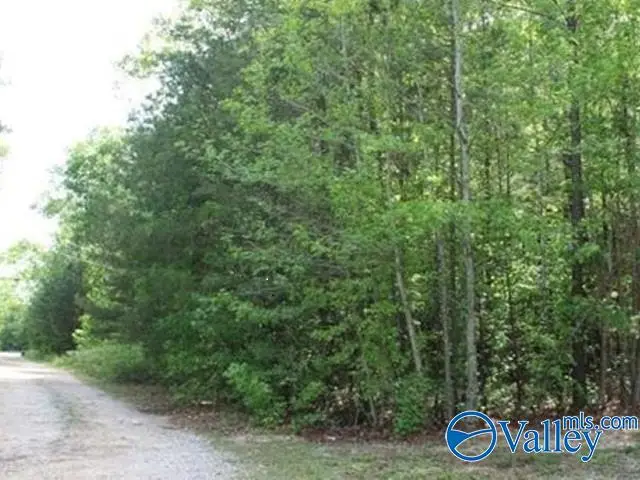 Lot 3 Hickory Lane, Valley Head, AL 35989 - Image #2