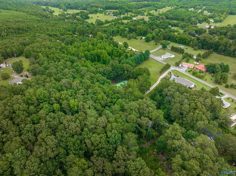 Lot 3 Hickory Lane, Valley Head, AL 35989 - Image #3