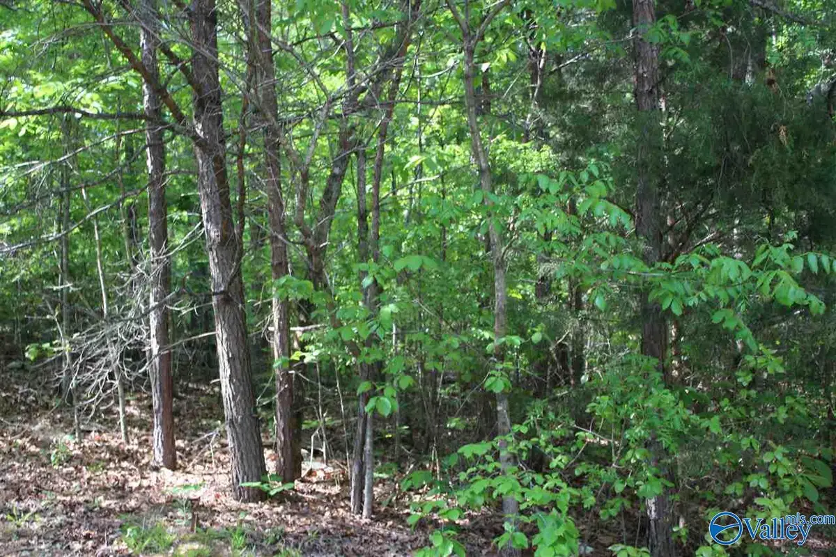 Lot 4 Hickory Lane, Valley Head, AL 35989 - Image #1
