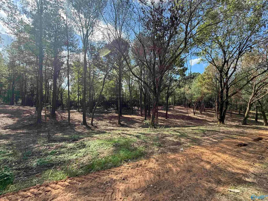 #1B County Road 1123, Vinemont, AL 35179 - Image #2