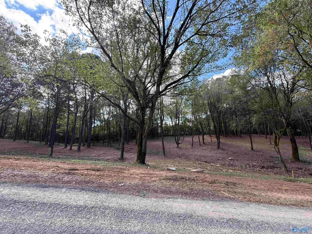 #1A County Road 1123, Vinemont, AL 35179 - #1