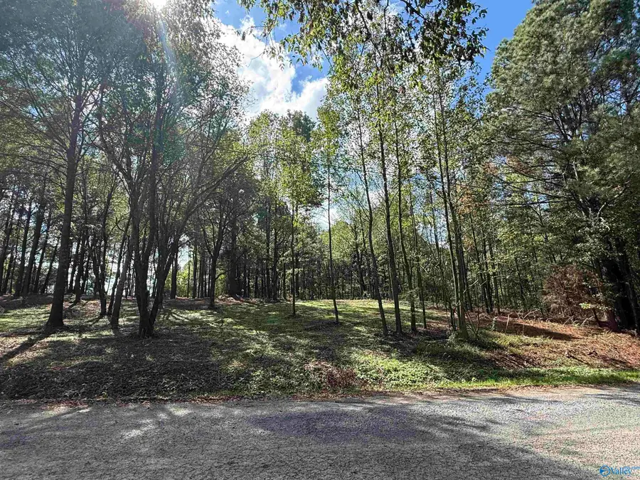 #1A County Road 1123, Vinemont, AL 35179 - #2