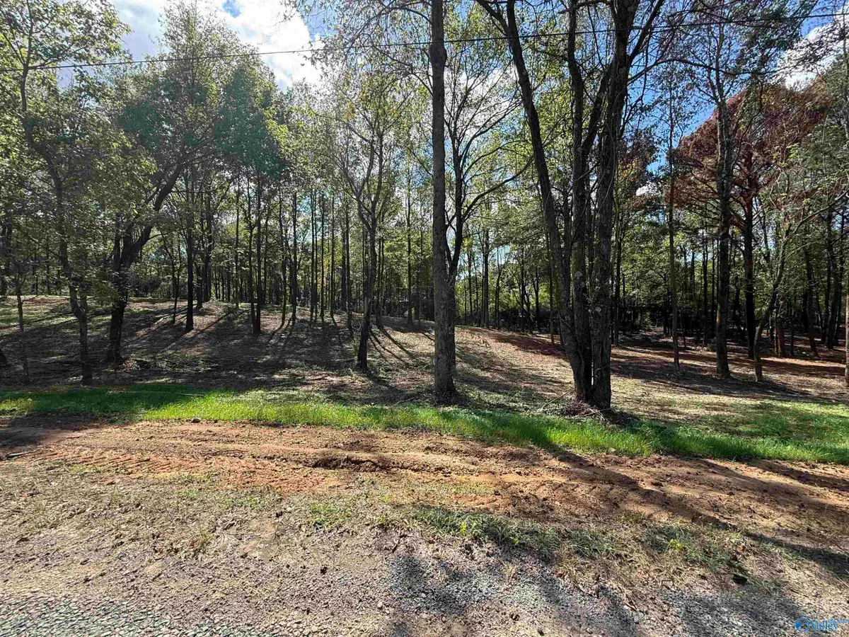#12B County Road 1123, Vinemont, AL 35179 - #1