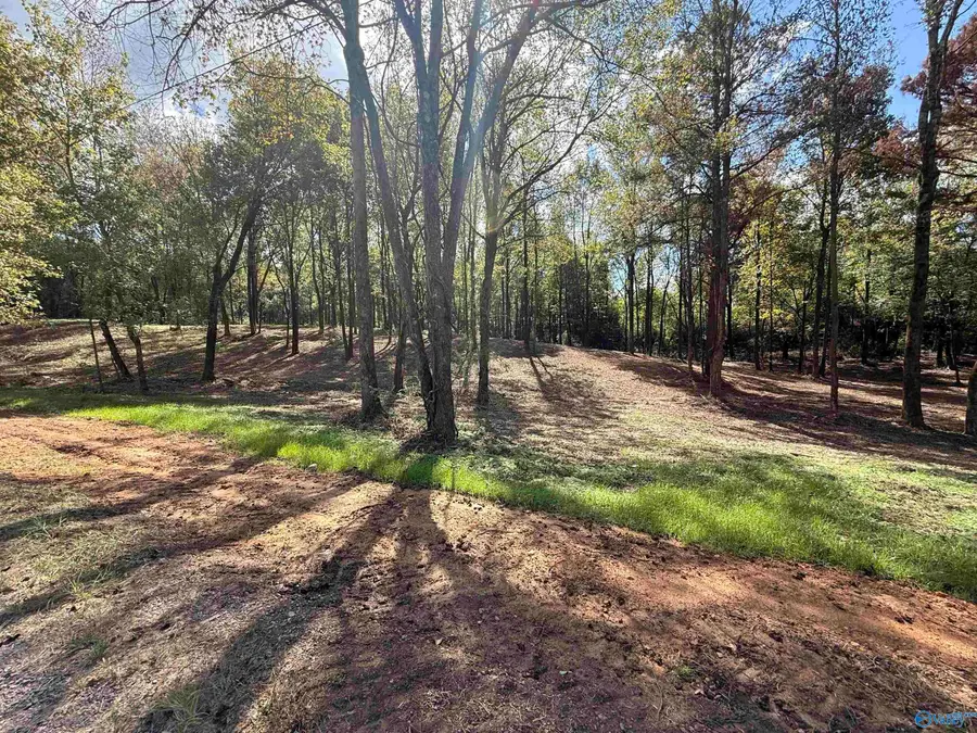 #12B County Road 1123, Vinemont, AL 35179 - #2