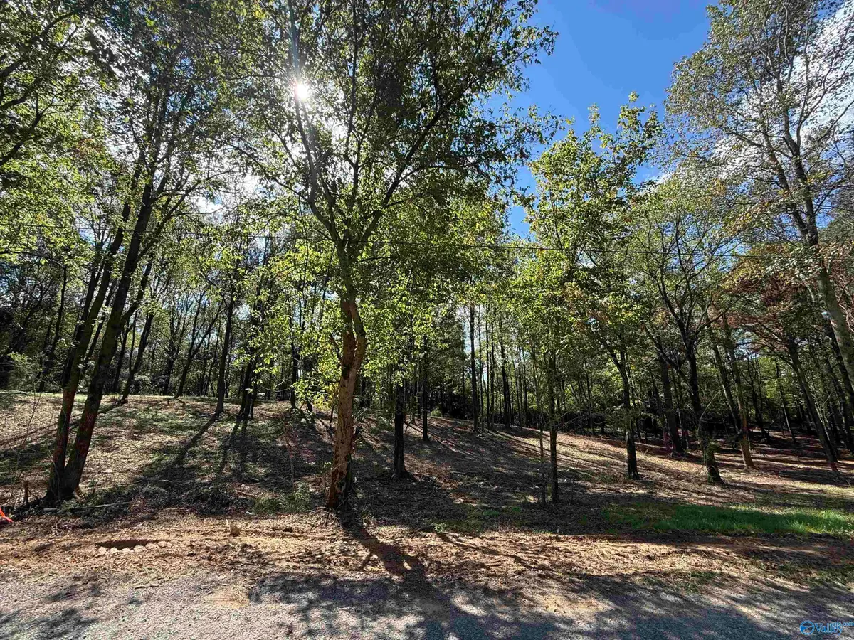 #12B County Road 1123, Vinemont, AL 35179 - Image #1