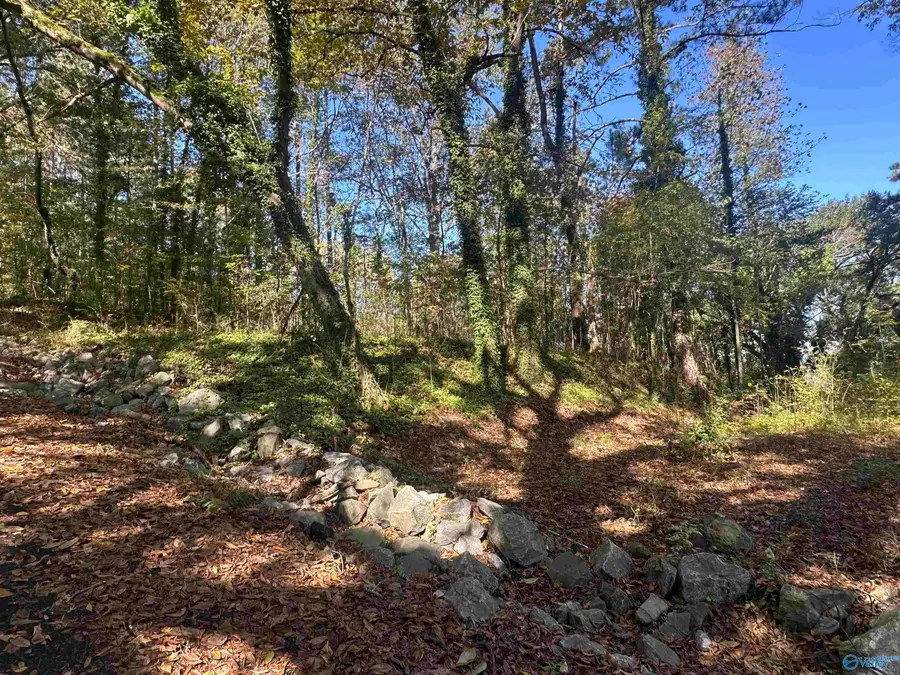 Lot 4 Smith Street, Guntersville, AL 35976 - Image #2