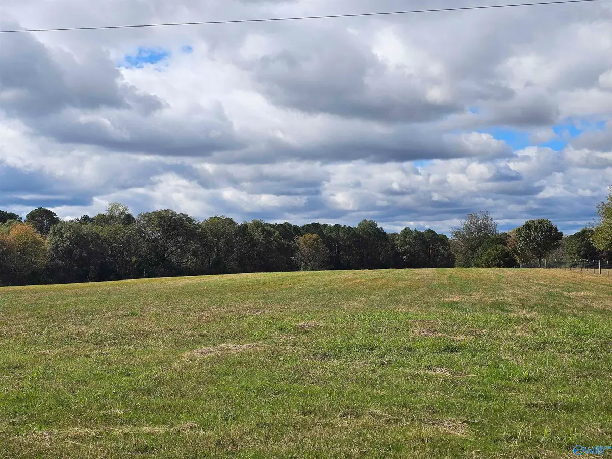 16.99 County Road 1753, Holly Pond, AL 35083 - Image #1