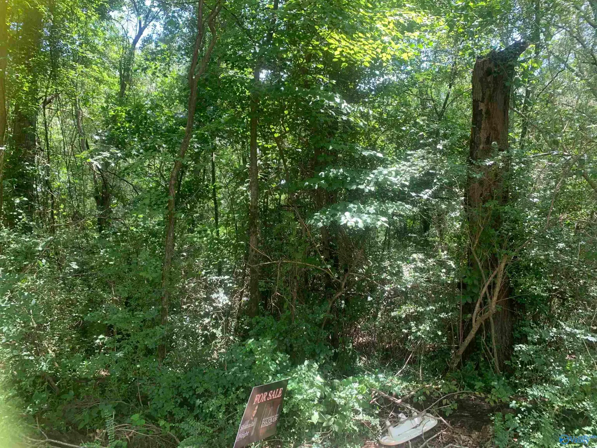 999 SE Brewer Street, Hartselle, AL 35640 - Image #1