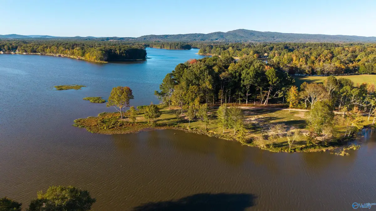 Lot 31 County Road 115, Cedar Bluff, AL 35959 - Image #1