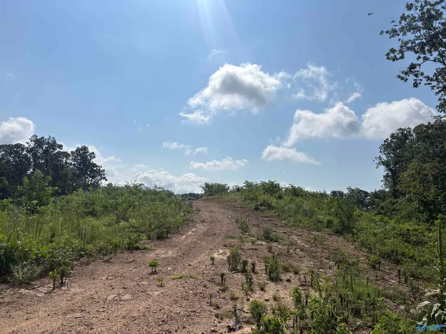 200ac+/- Center Hwy 35, Woodville, AL 35776 - #3