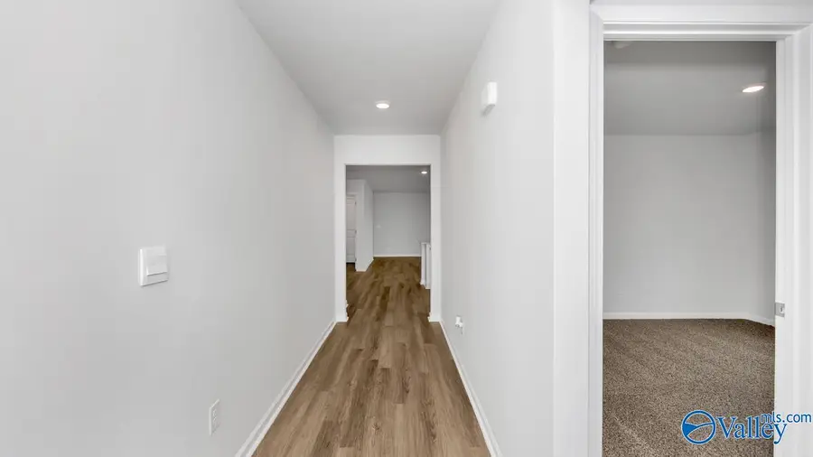 106 Saw Palmetto Drive, Meridianville, AL 35759 - Image #3