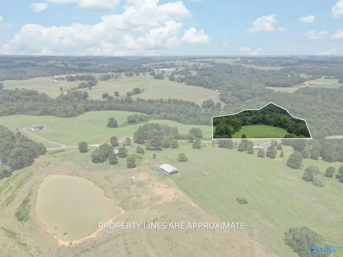 9+/- Acres Mcclarty Road, Horton, AL 35980 - Image #1