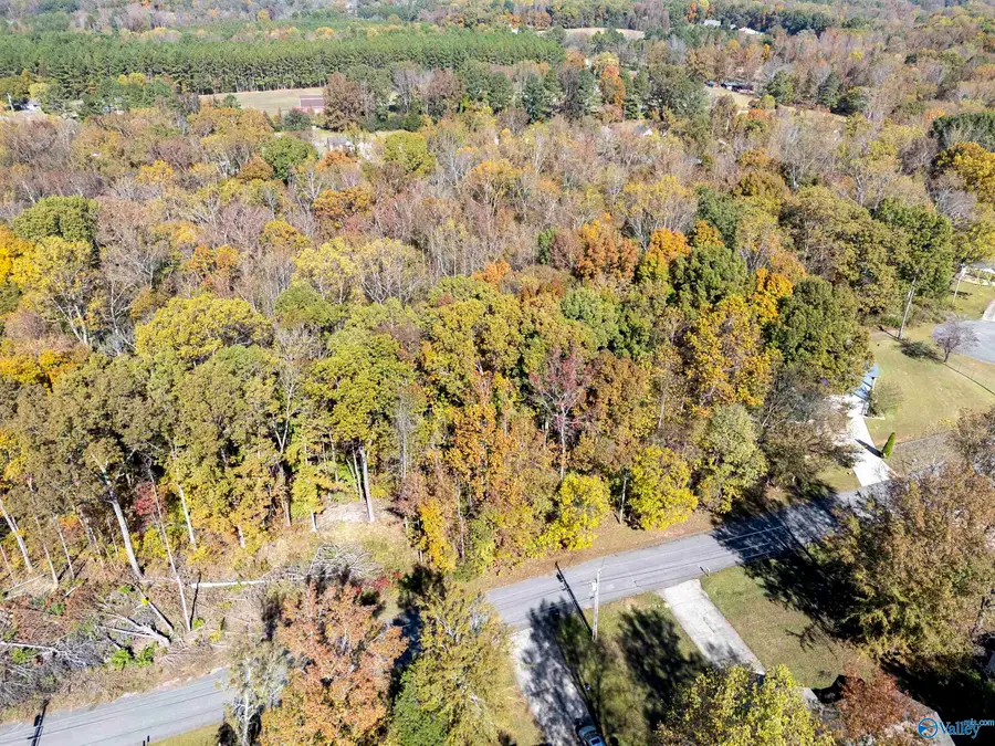 357 Buffalo Creek Drive, Toney, AL 35773 - Image #3