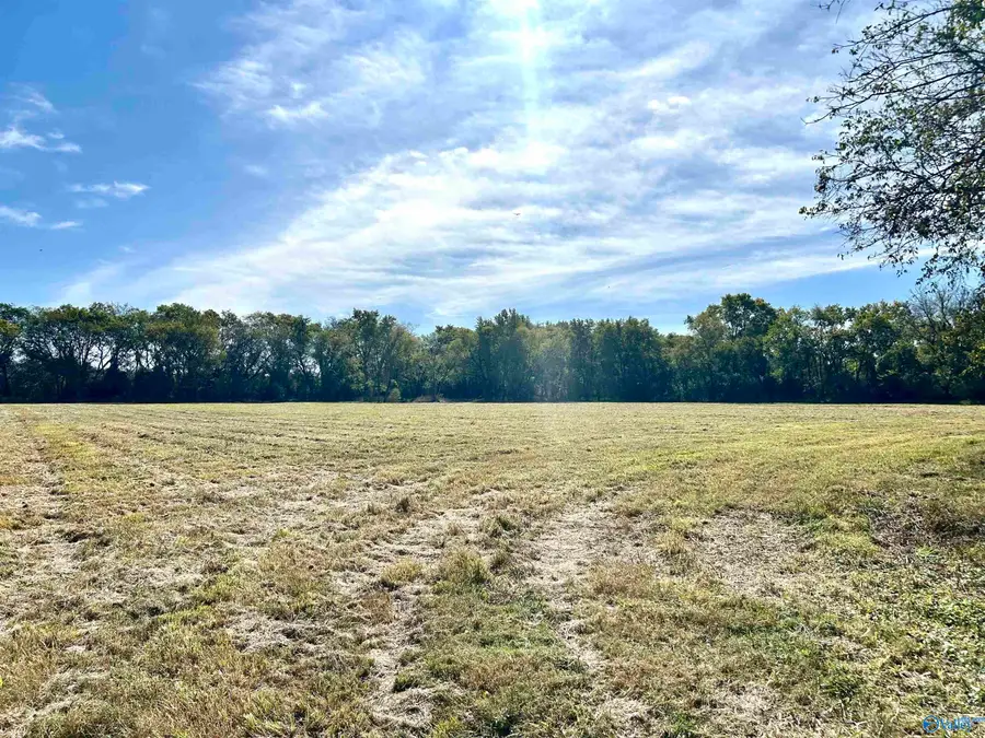 17.25 W Hwy 11, Pulaski, TN 38478 - Image #2