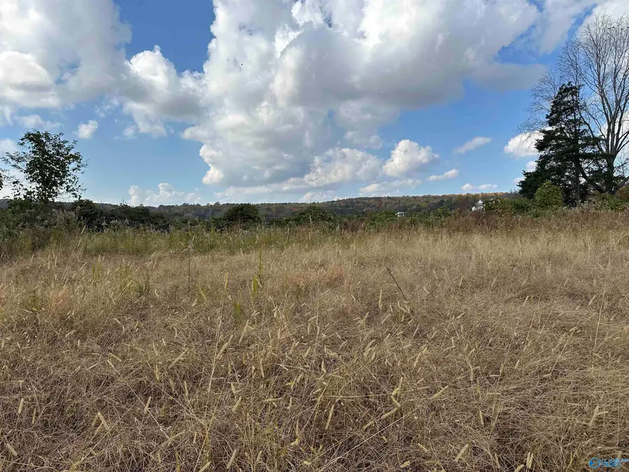 5.4 Acres Burwell Road, Harvest, AL 35749 - Image #3