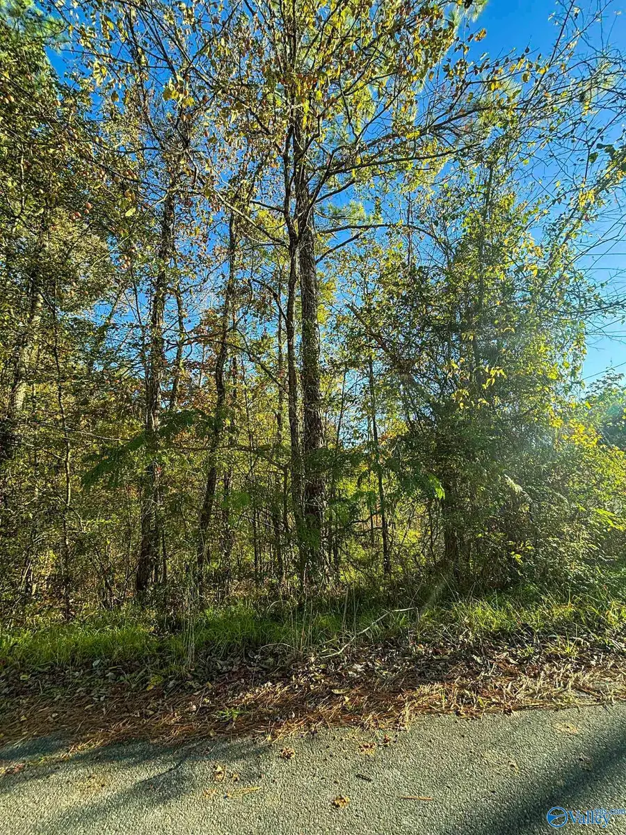 11 SE Wilson Street, Attalla, AL 35954 - Image #3