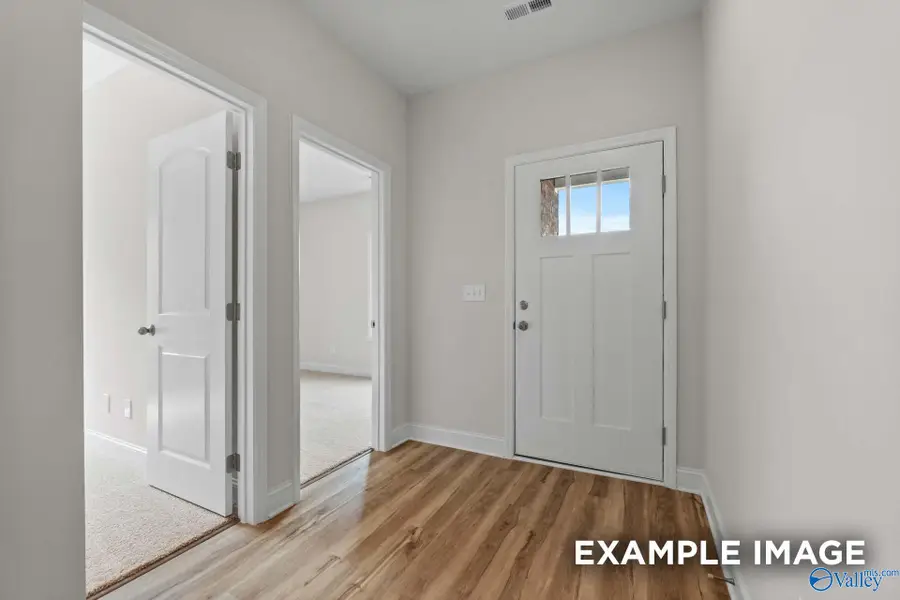 225 Pine Island Avenue, Toney, AL 35773 - Image #3