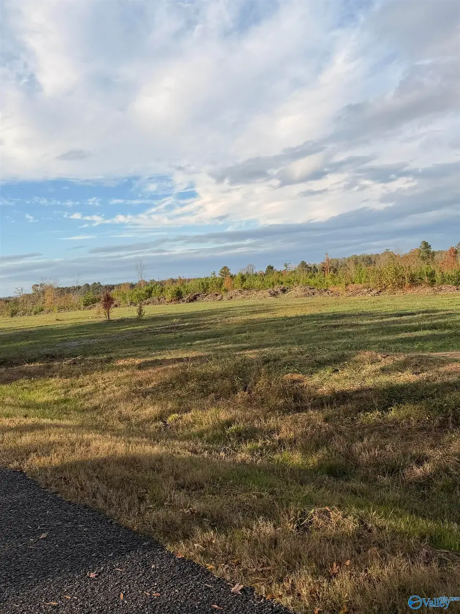 Lot 26 County Road 32, Piedmont, AL 36272 - Image #2