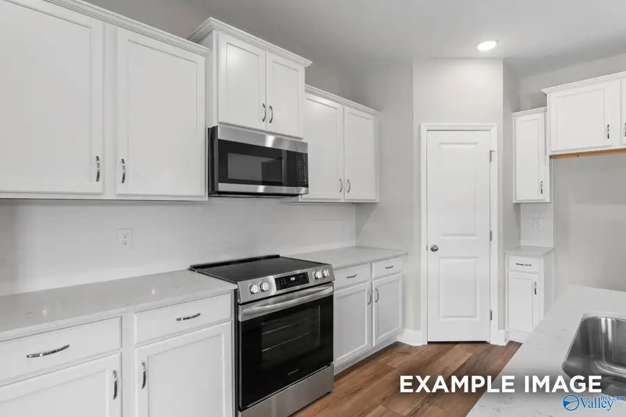 101 Drupelet Lane, Meridianville, AL 35759 - Image #3