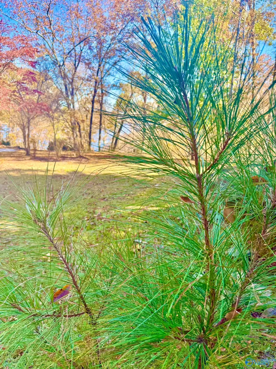 .71 Acres County Road 129, Bremen, AL 35033 - Image #2