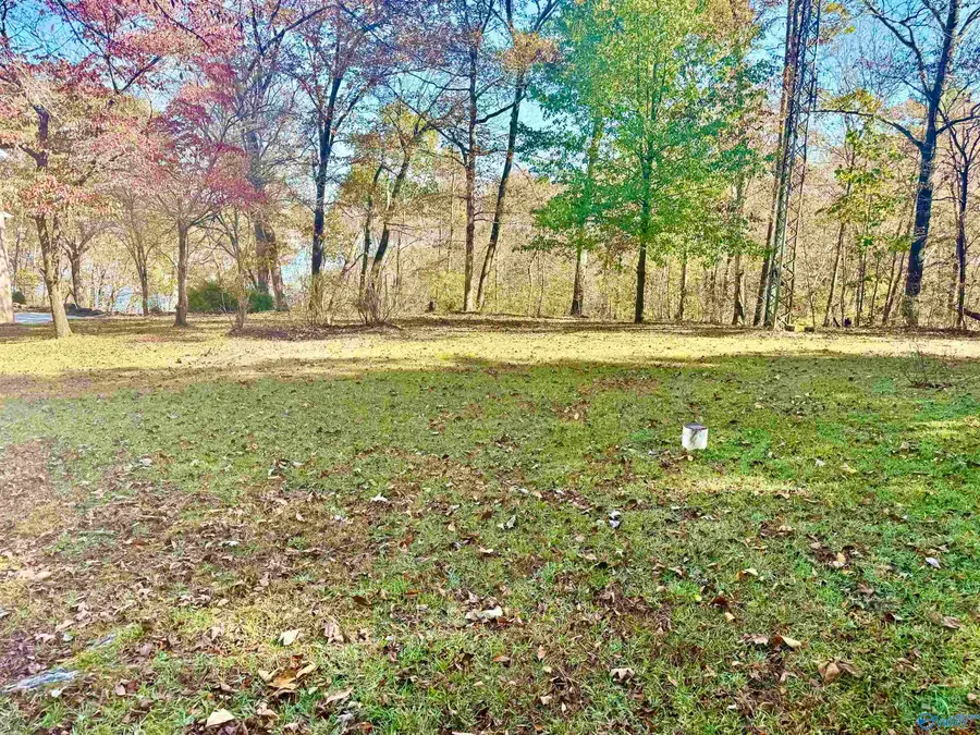 .71 Acres County Road 129, Bremen, AL 35033 - Image #3