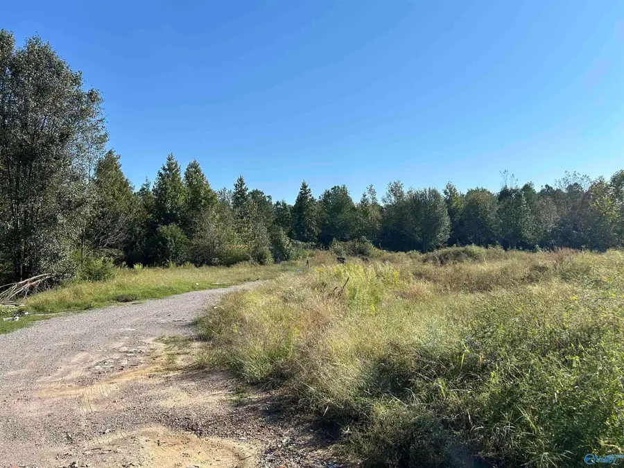 17A Mayfield Road, Athens, AL 35611 - #2