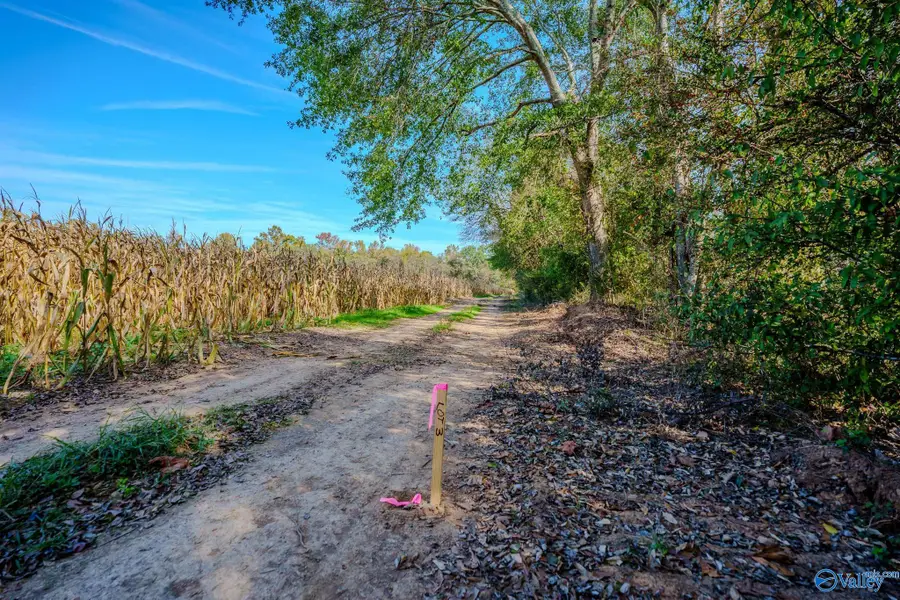 3.95 Old Highway 431, Huntsville, AL 35802 - Image #2