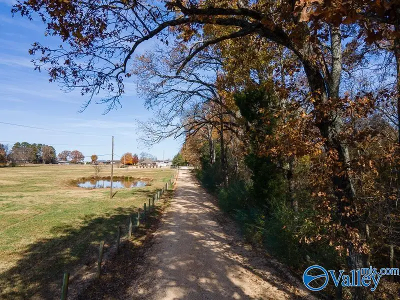 7.62 Acres County Road 399, Killen, AL 35645 - Image #1