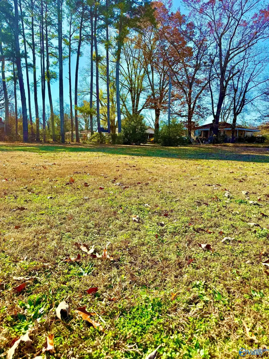 1505 8th Street, Decatur, AL 36601 - Image #2