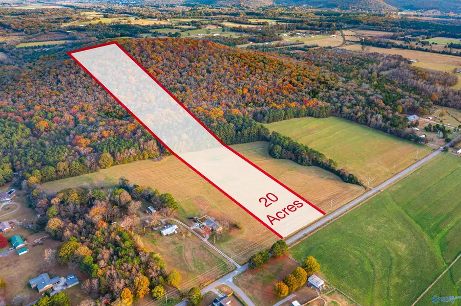 20 Six Mile Road, Somerville, AL 35670 - Image #3