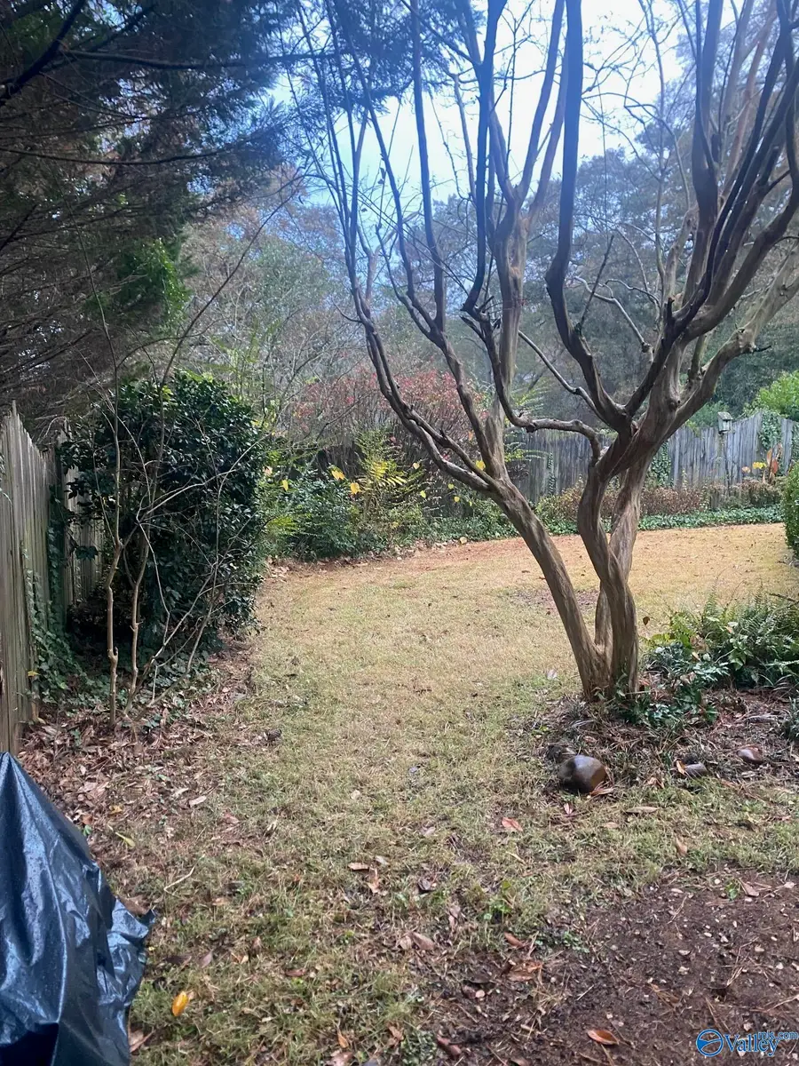 2103 Richardson Street, Guntersville, AL 35976 - Image #3