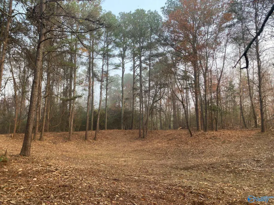 4+/- Acres Mount Carmel Drive, Guntersville, AL 35976 - Image #3