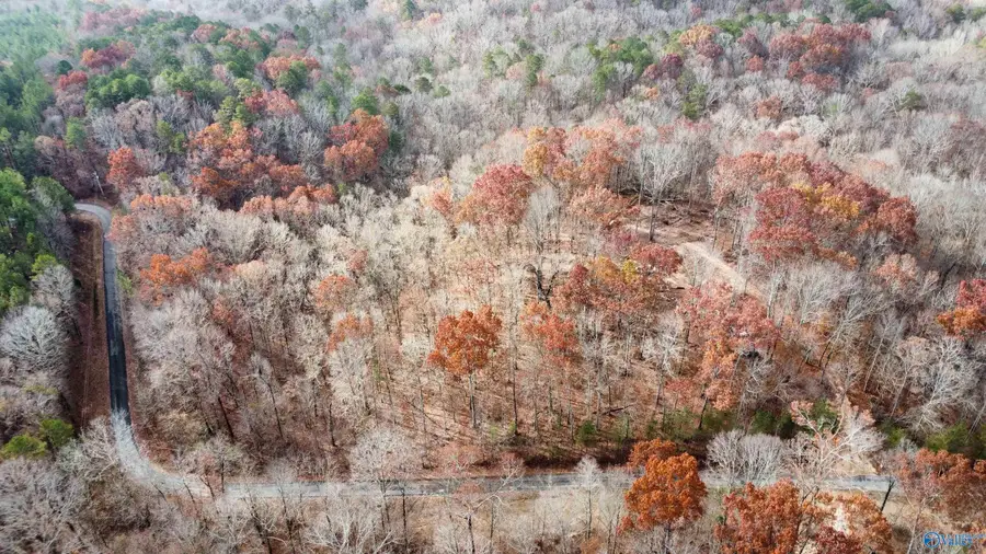 1 County Road 137, Cedar Bluff, AL 35959 - Image #2