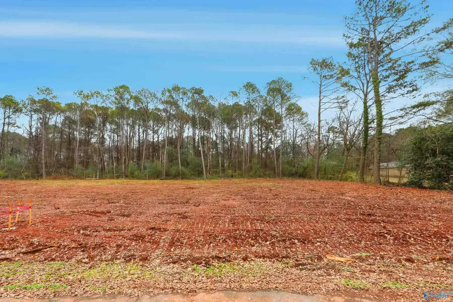 167 Jacque Jim Drive, Huntsville, AL 35810 - Image #3