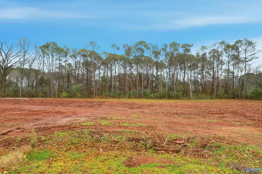 175 Jacque Jim Drive, Huntsville, AL 35810 - Image #3