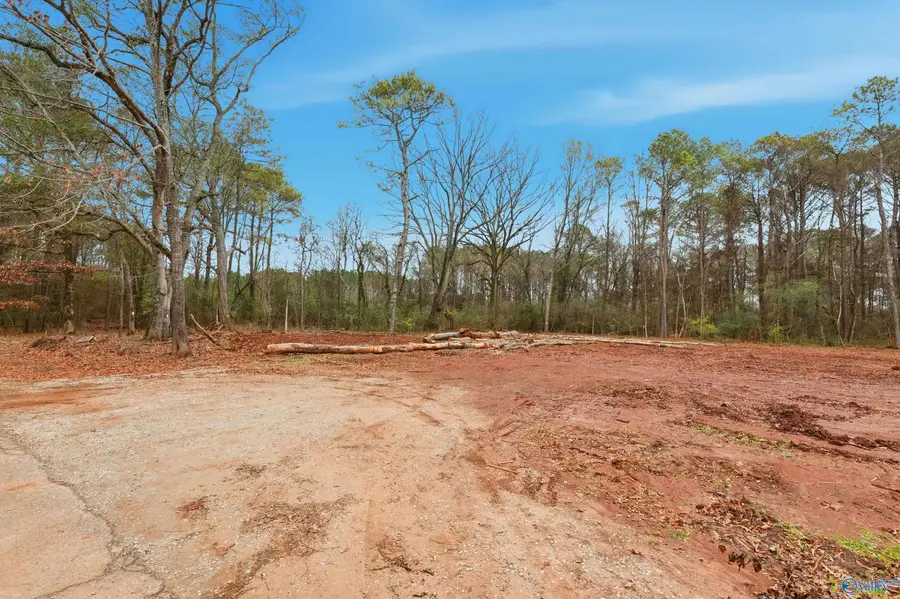 191 Jacque Jim Drive, Huntsville, AL 35810 - Image #3