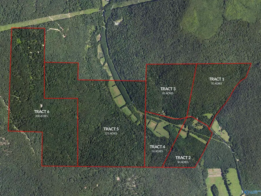 3818 County Road 4, Hollytree, AL 35751 - Image #2